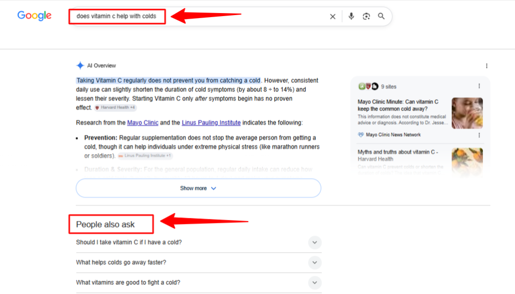 People Also Ask Featured Snippet Examples