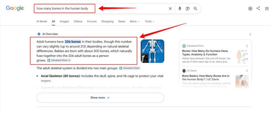 Featured Snippet Examples